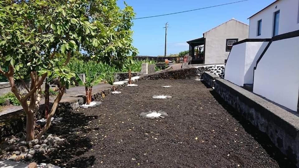 Azores Black Mountain House, Estudio E T2 Ilha Do Pico São Roque do Pico Buitenkant foto